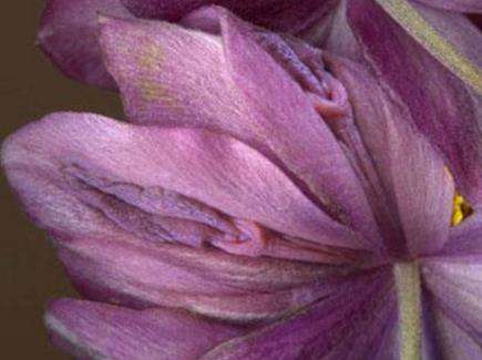 上古十大名器女子：女人十大万里挑一的外阴形状花朵图