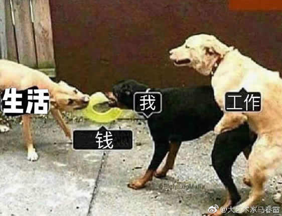 惨呐