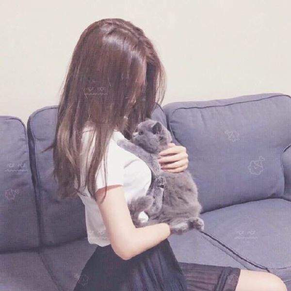 我两个都想要啊怎么办