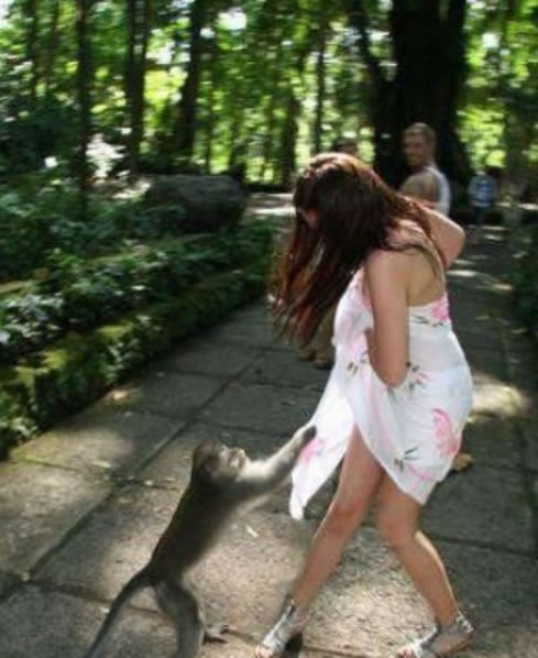 别走，再陪大爷玩会儿