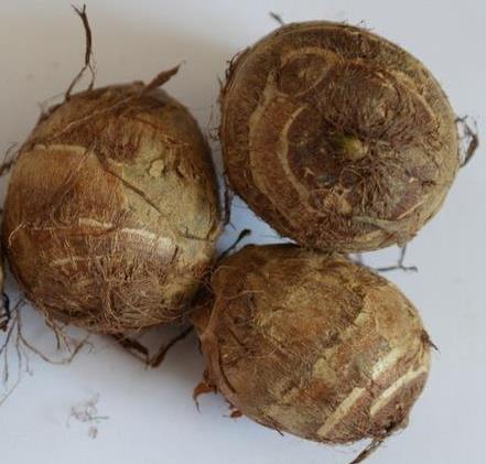 这个村子无一人患癌竟是因常吃它（图）