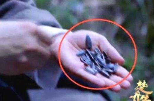 影视穿帮镜头尴尬有趣：这些槽点萌点会博得观众一笑