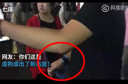 男子绳牵女友逛街：防丢绳牵着有安全感（图）