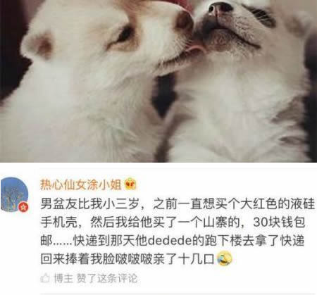 小奶狗男朋友是什么一个小奶狗男朋友是什么意思