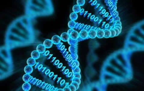 转基因是什么意思:非转基因又是什么意思安全性如何 转基因是什么意思:非转基因又是什么意思安全性如何