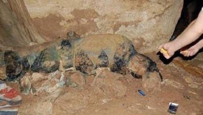 南充百年清朝古尸遭焚烧:细致极恐不可思议(图) 南充百年清朝古尸遭焚烧:细致极恐不可思议(图)