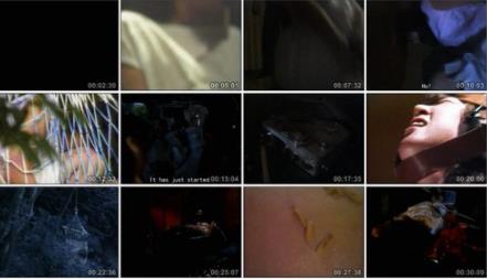 豚鼠系列电影:日本豚鼠系列不仅恐怖且恶心无比 豚鼠系列电影:日本豚鼠系列不仅恐怖且恶心无比