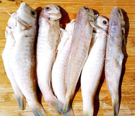 补脑的食物有哪些：十大健脑食品增强记忆延缓衰老