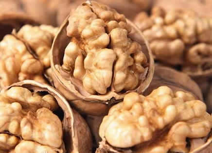 补脑的食物有哪些：十大健脑食品增强记忆延缓衰老