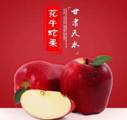 世界最红苹果诞生:红透了的苹果图片是怎么回事 世界最红苹果诞生:红透了的苹果图片是怎么回事