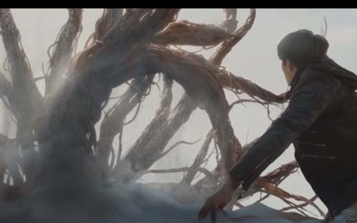 九头蛇柏真的存在吗:沙海九头蛇柏现实中的原型是什么 九头蛇柏真的存在吗:沙海九头蛇柏现实中的原型是什么