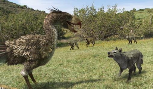 史前巨兽纪录片有哪些:推荐关于史前巨兽的纪录片 史前巨兽纪录片有哪些:推荐关于史前巨兽的纪录片