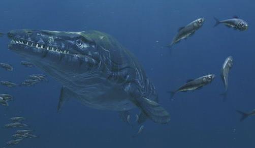 史前巨兽纪录片有哪些:推荐关于史前巨兽的纪录片 史前巨兽纪录片有哪些:推荐关于史前巨兽的纪录片