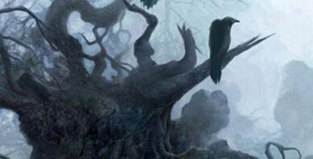 乌鸦悖论是什么意思:乌鸦悖论怎么回事应用实例分享 乌鸦悖论是什么意思:乌鸦悖论怎么回事应用实例分享