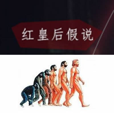 红皇后假说是什么：来源内容说了什么及发展和现状