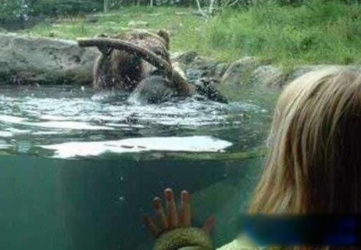 世界十大兽孩：自然中野兽养大的孩子都经历了什么