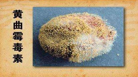 它的毒性是砒霜的68倍,开水煮不死!日常随处可见