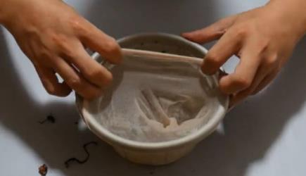 花盆里套个丝袜,好多人不知道有什么作用(视频图解) 花盆里套个丝袜,好多人不知道有什么作用(视频图解)