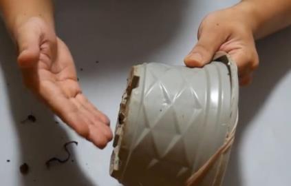 花盆里套个丝袜,好多人不知道有什么作用(视频图解) 花盆里套个丝袜,好多人不知道有什么作用(视频图解)