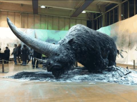 十大镜头：世界罕见（大自然的神奇）