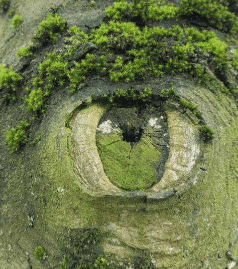 十大镜头：世界罕见（大自然的神奇）