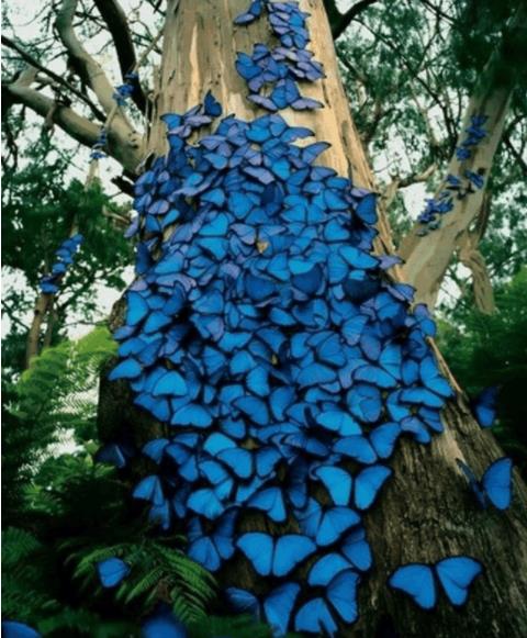 十大镜头：世界罕见（大自然的神奇）