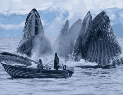 十大镜头：世界罕见（大自然的神奇）