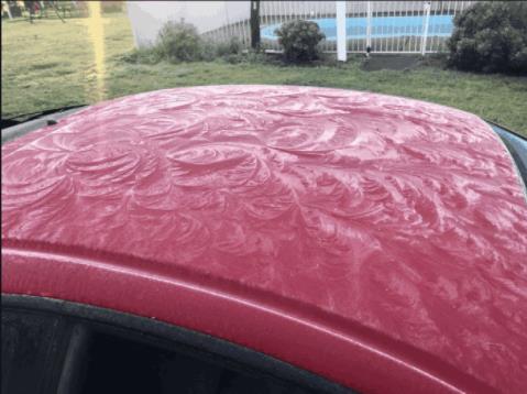 十大镜头：世界罕见（大自然的神奇）