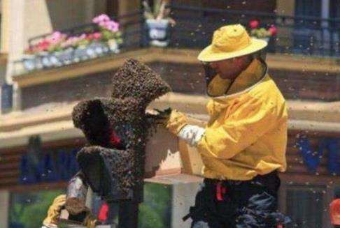 让人意外的图片：不仅搞笑而且尴尬还很无语