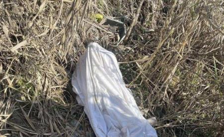 世界上让人恶心的图片：震撼不可思议各式各样