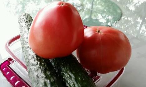 黄瓜和西红柿能一起吃吗:非常好的搭配(适量互搭) 黄瓜和西红柿能一起吃吗:非常好的搭配(适量互搭)