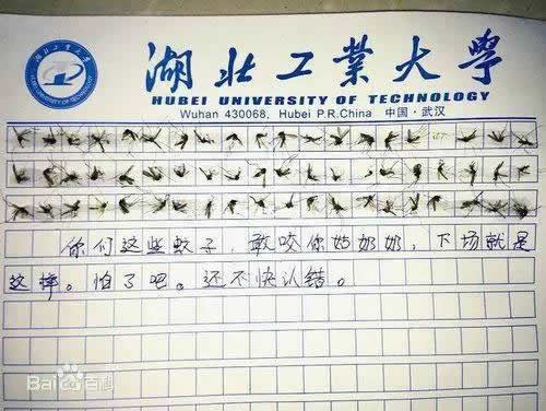 那年60只蚊子写作文还记得吗:没有啥原因只是玩幽默 那年60只蚊子写作文还记得吗:没有啥原因只是玩幽默