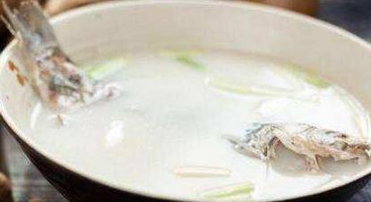 把鱼汤熬成奶白色吗?看完吓一大跳（脂肪含量太高）