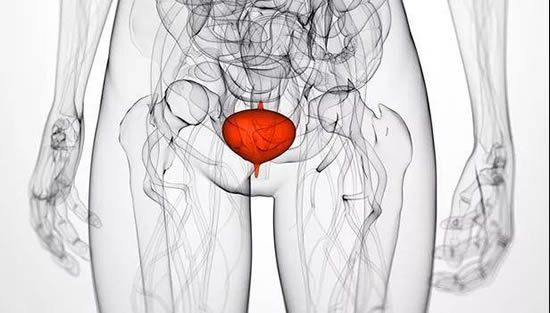 网友女大学生自拍照:掀裙自拍警醒世人(图) 网友女大学生自拍照:掀裙自拍警醒世人(图)