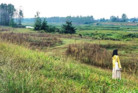 阳光明媚的意思和造句