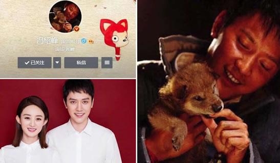 冯绍峰换头像：抱小狼崽头像暗示赵丽颖生儿子？