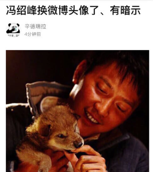 冯绍峰换头像：抱小狼崽头像暗示赵丽颖生儿子？