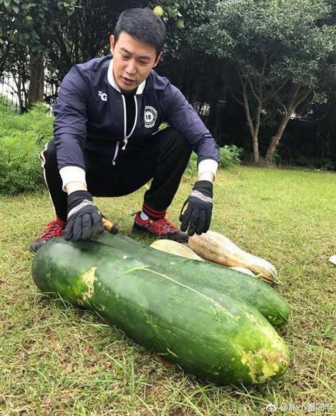 鲍蕾晒陆毅摸瓜照：抚摸这么大一个南瓜（图）