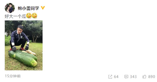 鲍蕾晒陆毅摸瓜照：抚摸这么大一个南瓜（图）