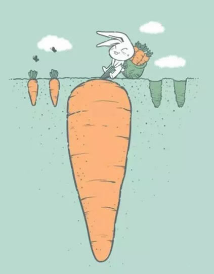 成人图片：内涵图20张（其实你懂不多）