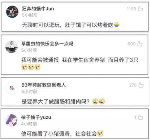 大学生宿舍养猪:猪呆呆被圈养在宿舍被通报了 大学生宿舍养猪:猪呆呆被圈养在宿舍被通报了