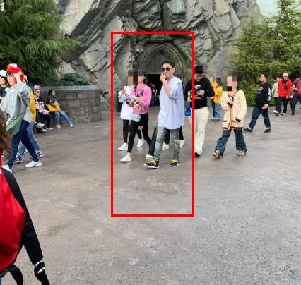 王思聪 陈雅婷同游日本被偶遇：王思聪女友陈雅婷资料