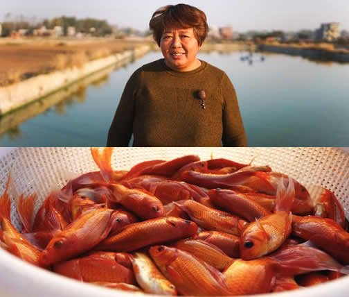 锦鲤大妈年入千万:没啥技巧和运气靠双手勤劳致富 锦鲤大妈年入千万:没啥技巧和运气靠双手勤劳致富