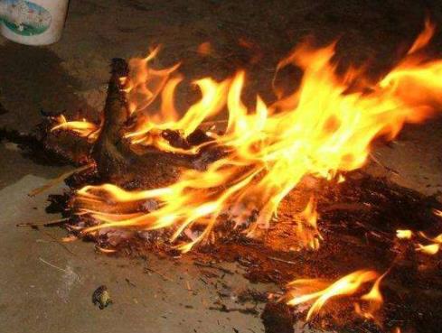 关于黄皮子坟背后的故事：老东北黄皮子的事揭晓