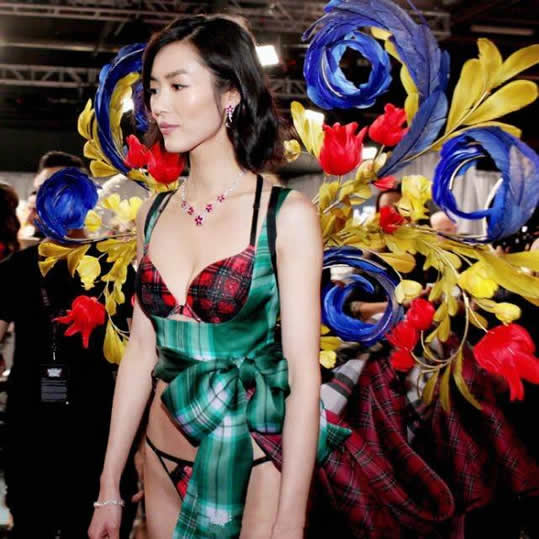 刘雯翅膀:2018维密造型对比历年维密造型(图) 刘雯翅膀:2018维密造型对比历年维密造型(图)