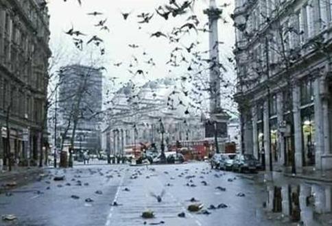 为什么天上会下青蛙雨：盘点世界上诡异的怪雨