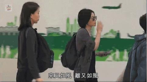 谢霆锋香港新家：王菲谢霆锋新家短聚画面曝光