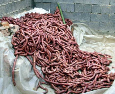 香肠都是这样做出来的:香肠制作全过程(图) 香肠都是这样做出来的:香肠制作全过程(图)