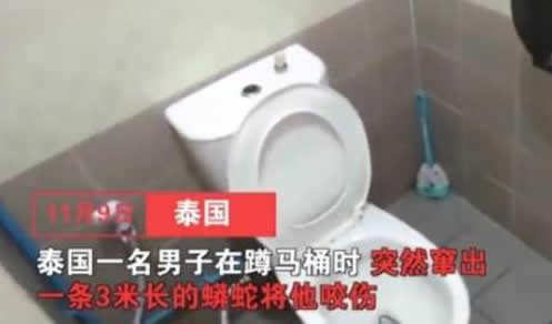 马桶钻出3米长蟒蛇：厕所被咬下体缝15针至今上厕所都焦虑