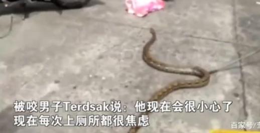 马桶钻出3米长蟒蛇：厕所被咬下体缝15针至今上厕所都焦虑
